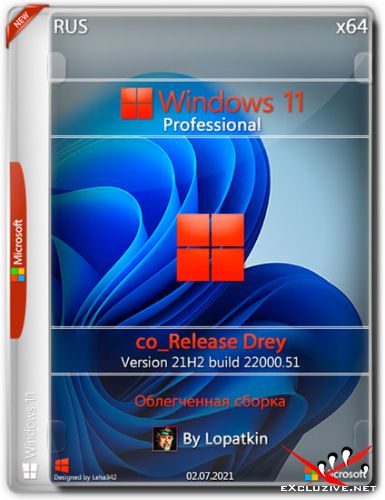 Windows 11 Pro x64 21H2.22000.51 co_Release DREY (RUS/2021)