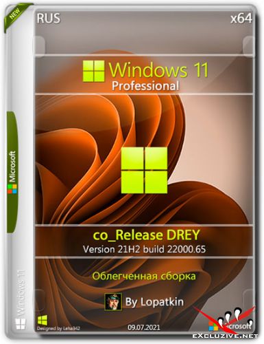 Windows 11 Pro x64 21H2.22000.65 co_Release DREY (RUS/2021)