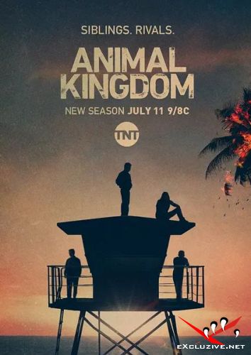    / Animal Kingdom (5 /2021/WEB-DL/720p/WEB-DLRip)