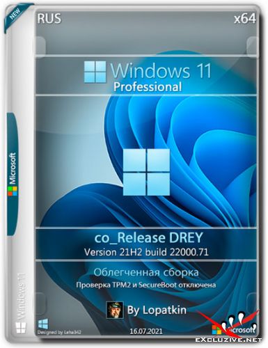 Windows 11 Pro x64 21H2.22000.71 co_Release DREY (RUS/2021)