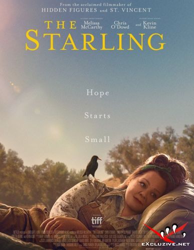  / The Starling (2021) WEB-DLRip / WEB-DL (720p, 1080p)