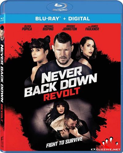   :  / Never Back Down: Revolt (2021) HDRip / BDRip (720p, 1080p)