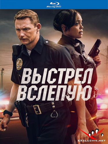   / Blindfire (2020) HDRip / BDRip (1080p)