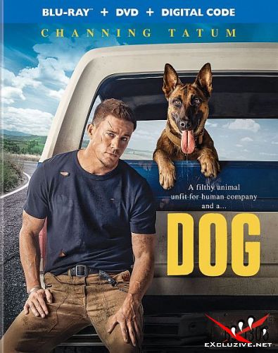    / Dog (2022) HDRip / BDRip (720p, 1080p)