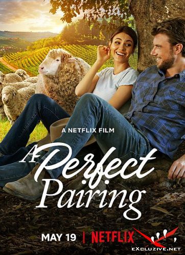   / A Perfect Pairing (2022) WEB-DLRip / WEB-DL (1080p)