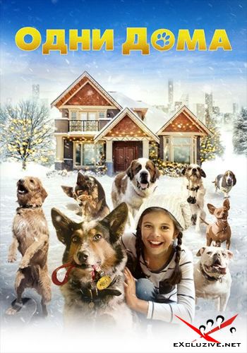   / Pups Alone (2021) WEB-DLRip / WEB-DL (1080p)