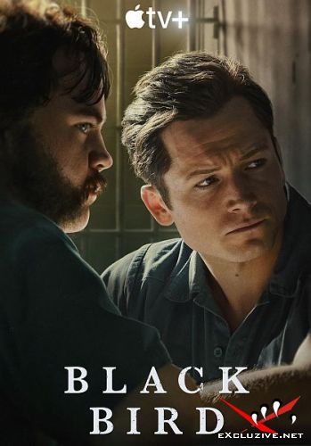 ׸  / Black Bird  (1 /2022/WEB-DL/1080p/WEB-DLRip)