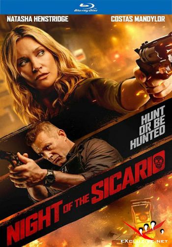   / Night of the Sicario / Blindsided (2021) HDRip / BDRip (1080p)